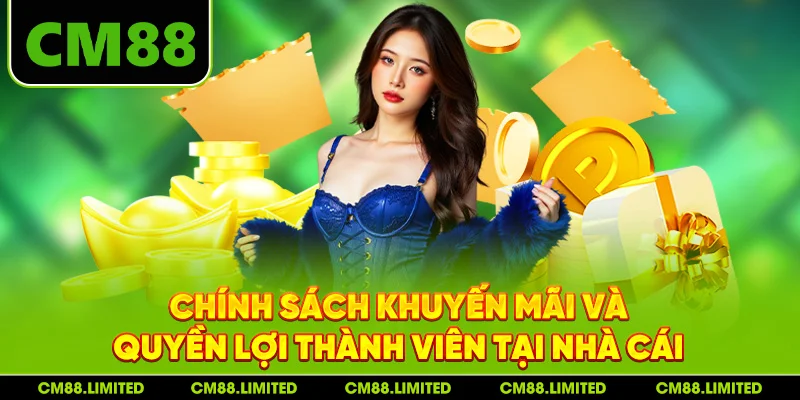 Chính sách khuyến mãi và quyền lợi thành viên tại nhà cái