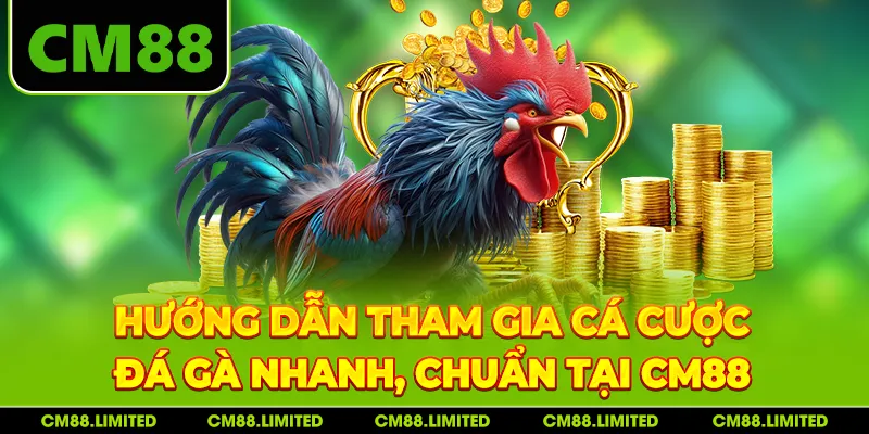 Hướng dẫn tham gia cá cược đá gà nhanh, chuẩn tại CM88