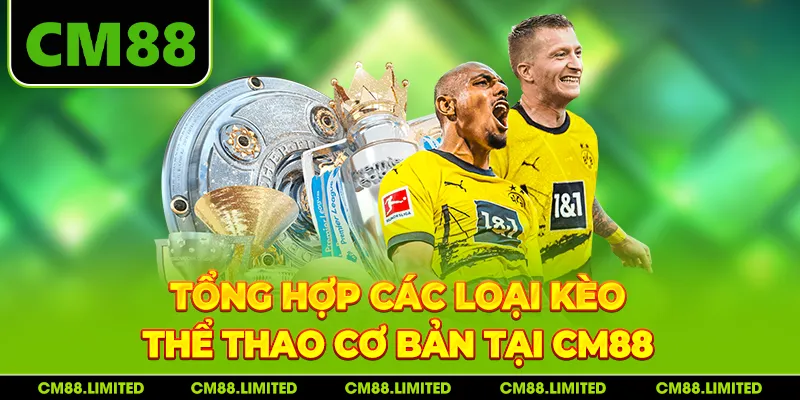 Tổng hợp các loại kèo thể thao cơ bản tại CM88