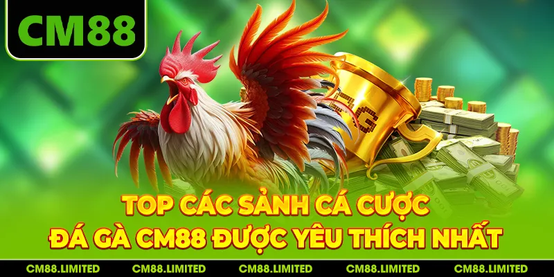 TOP các sảnh cá cược đá gà CM88 được yêu thích nhất