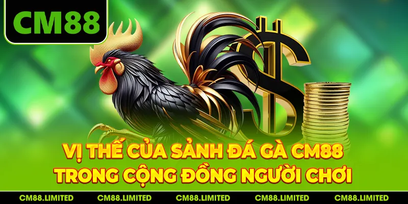 Vị thế của sảnh đá gà CM88 trong cộng đồng người chơi